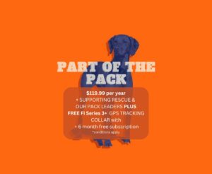 Part Of The Pack - Annual