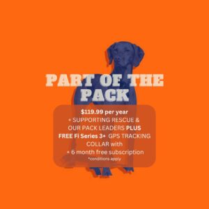 Part Of The Pack - Annual