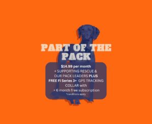 Part Of The Pack - Monthly