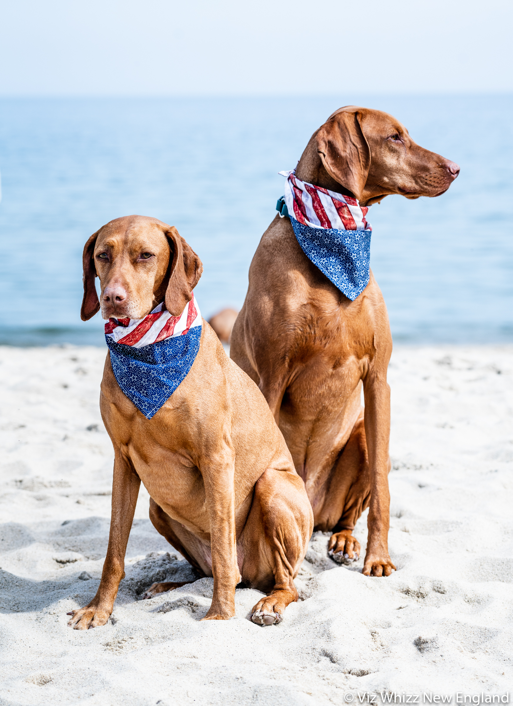 190704 Vs with Stars and Stripes-2762